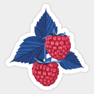 Raspberry illustration Sticker